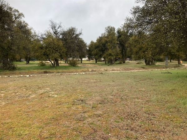 Red Thorne Ranch / The Barn Loft / Mini Petting Zoo (3/23/2023 - Credits: Amber Thorne)