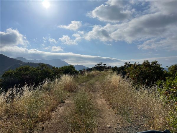 Canyon Ranch (4/3/2023 - Credits: Provided by Julie Hoffman)