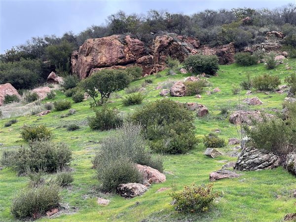 Canyon Ranch (4/3/2023 - Credits: Provided by Julie Hoffman)