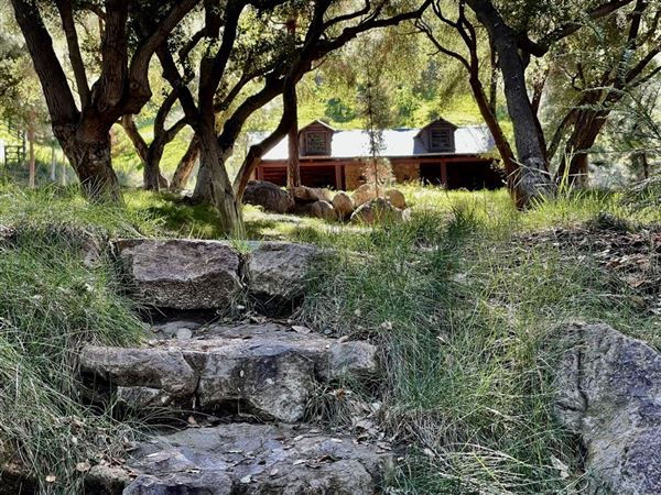 Canyon Ranch (4/3/2023 - Credits: Provided by Julie Hoffman)
