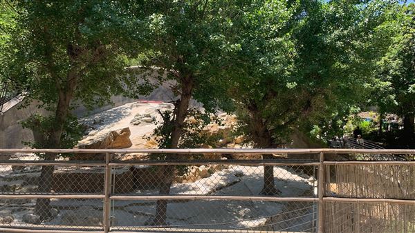 Los Angeles Zoo & Botanical Gardens - LA Zoo (6/25/2023 - Credits: Brandy Davis)