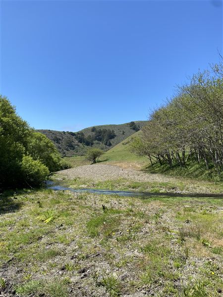 Rosko Ranch (7/30/2023 - Credits: Julia Goldberg)