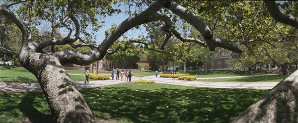University of California, Los Angeles - UCLA (8/4/2023 - Credits: University of California, Los Angeles - UCLA)