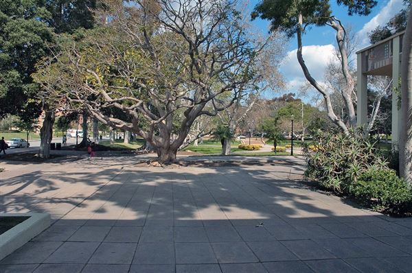University of California, Los Angeles - UCLA (8/4/2023 - Credits: University of California, Los Angeles - UCLA)