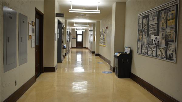 University of California, Los Angeles - UCLA (8/4/2023 - Credits: University of California, Los Angeles -UCLA)