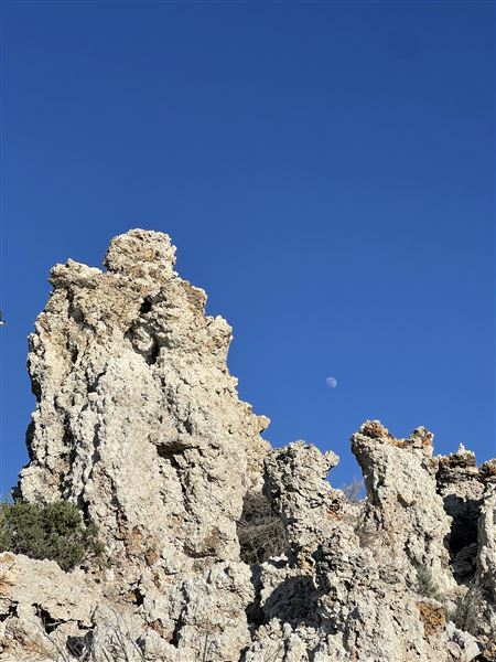 Cinnamon Bear Inn - Mammoth Lakes (6/29/2023 - Credits: Cinnamon Bear Inn)