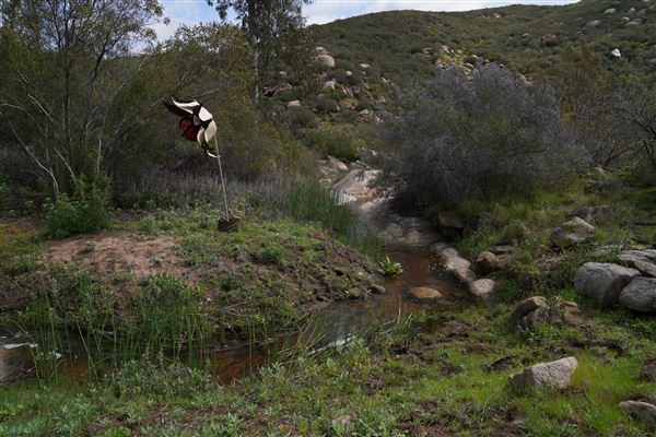 Stone Meadows Ranch (11/29/2023 - Credits: Photo Courtesy of Thomas Levin)