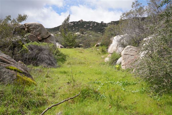 Stone Meadows Ranch (11/29/2023 - Credits: Photo Courtesy of Thomas Levin)