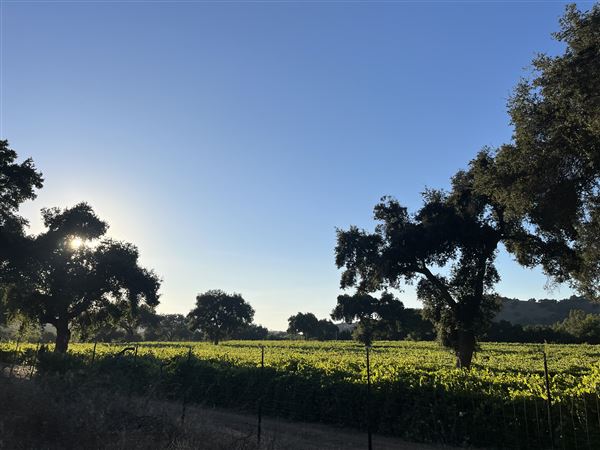 Rancho San Fernando Rey (12/5/2023 - Credits: Rancho San Fernando Rey)