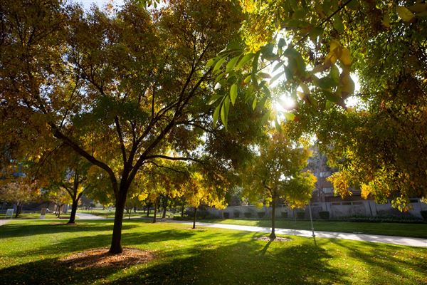 University of California, Riverside - UC Riverside (12/7/2023 - Credits: Photo Courtesy of University of California, Riverside)