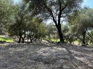 Olive Ranch (5/10/2022 - Credits: Placer County)