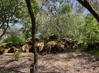 Olive Ranch (5/10/2022 - Credits: Placer County)