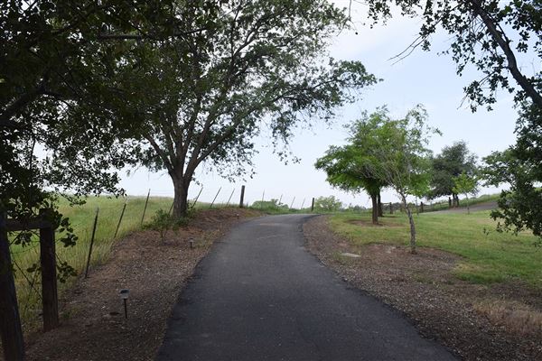 Olive Ranch (7/14/2022)