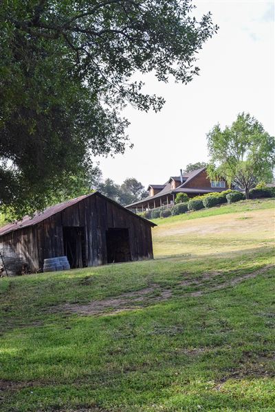 Olive Ranch (7/14/2022)