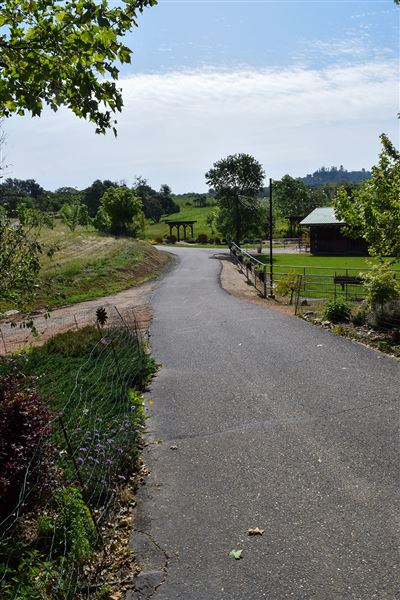 Olive Ranch (7/14/2022)