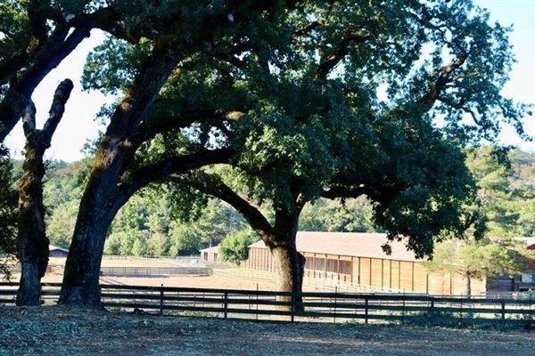 Alpine Ranch (12/19/2023 - Credits: Photo Courtesy of Alpine Ranch)