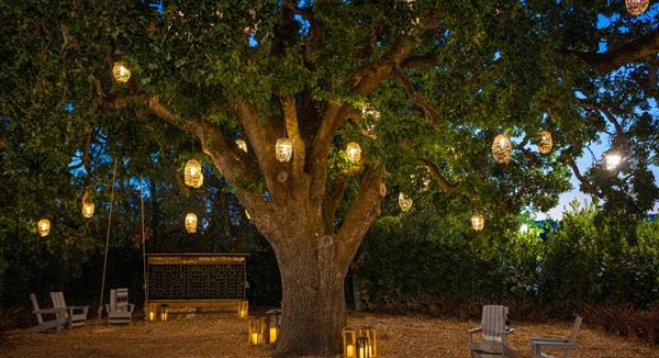 The Lodge at Sonoma Resort, Autograph Collection - Heritage Oak nighttime (8/12/2021 - Credits: Erin Mcvicar)