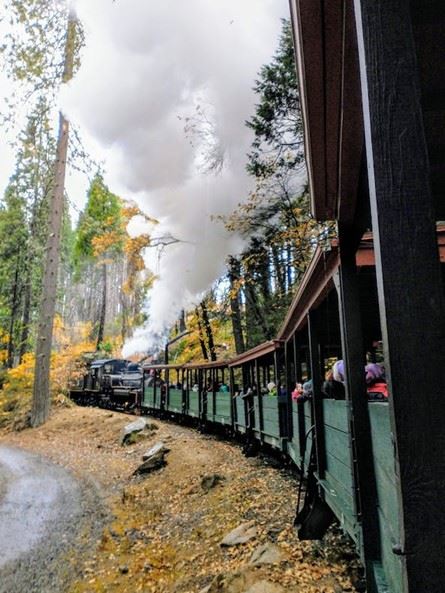 Yosemite Mountain Sugar Pine Railroad (1/25/2024 - Credits: Photo Courtesy of Yosemite Mountain Sugar Pine Railroad)