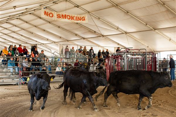 World Ag Expo® (3/8/2024 - Credits: Photo Courtesy of World Ag Expo®)