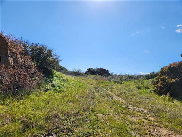 Rocky Peak Park (3/19/2024 - Credits: Rene Garcia)