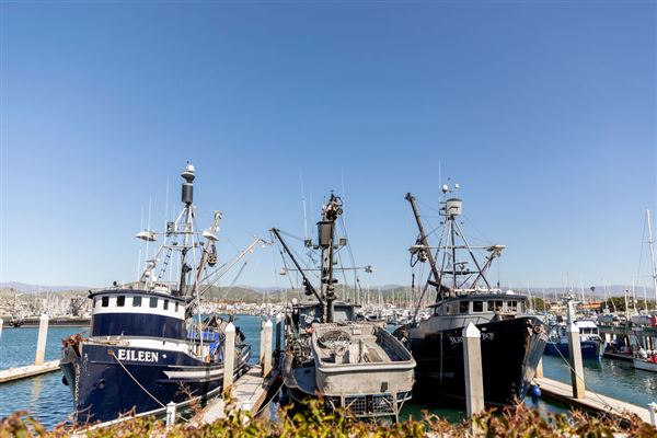 Ventura Harbor - Ventura Port District (4/29/2024)