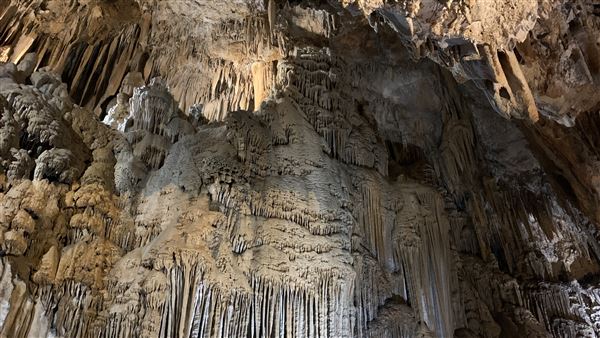 20359 Shasta Caverns Road (5/5/2024 - Credits: Brandy Davis)