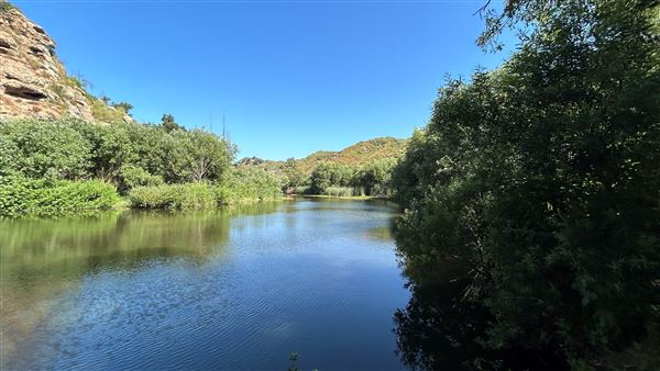 Malibu Creek State Park (SP) - Century Lake (6/26/2024 - Credits: Brandy Davis)