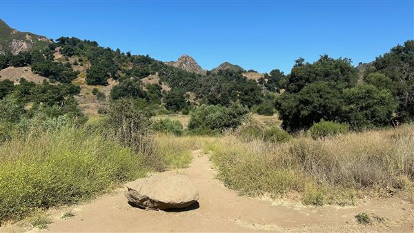 Malibu Creek State Park (SP) - Scenic Views from trail (6/26/2024 - Credits: Brandy Davis)