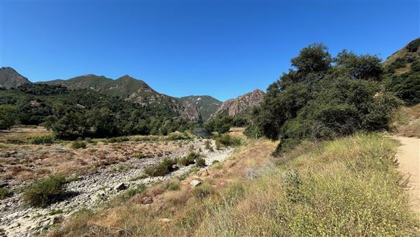 Malibu Creek State Park (SP) - Scenic Views from trail (6/26/2024 - Credits: Brandy Davis)