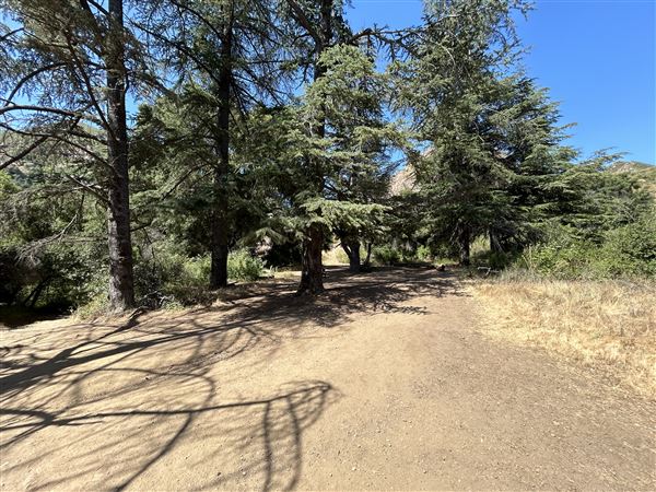Malibu Creek State Park (SP) - Scenic Views from trail (6/26/2024 - Credits: Brandy Davis)