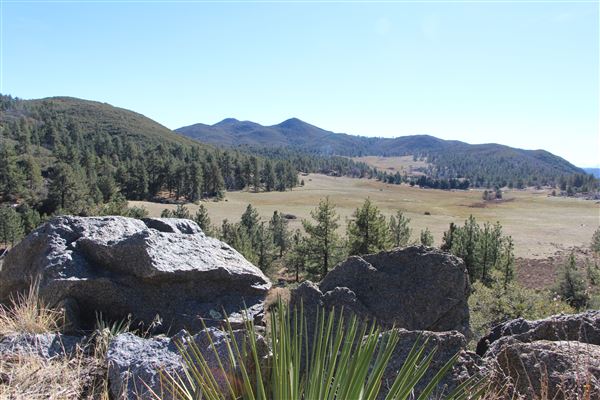 Cleveland National Forest (7/2/2024 - Credits: Public Affairs Officer Forest Service)