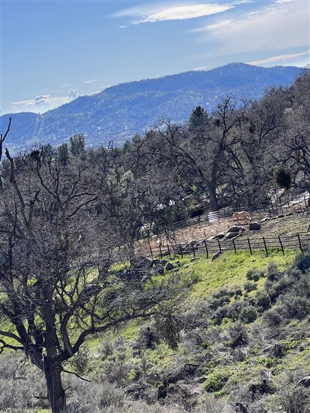 Tehachapi Log Cabin (5/4/2024 - Credits: Barb Pfeiffer)