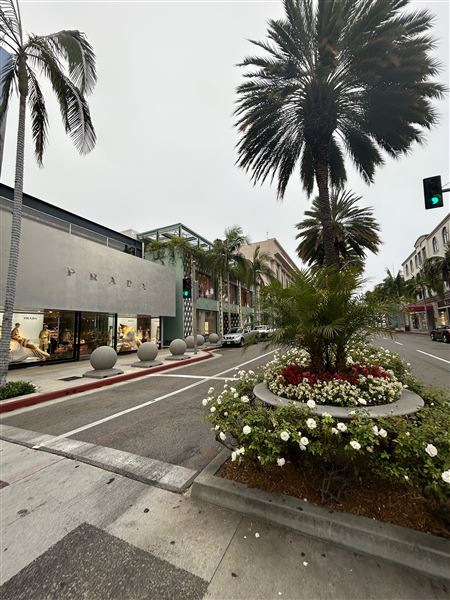 Rodeo Drive - Beverly Hills (7/12/2024 - Credits: Brandy Davis)