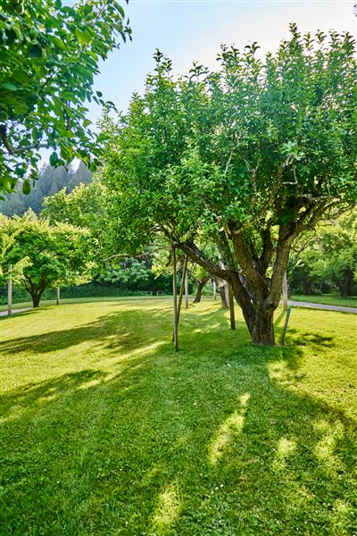 Dawn Ranch - Fern Grove Cottage (7/16/2024 - Credits: Dawn Ranch)