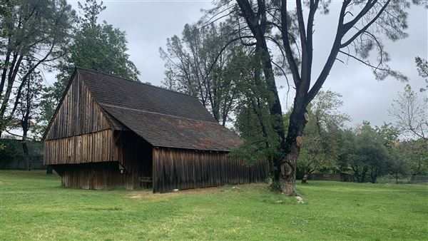Shasta State Historic Park (SHP) (5/4/2024 - Credits: Brandy Davis)