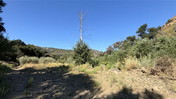 Malibu Creek State Park (SP) - M*A*S*H* Site Location (7/31/2024 - Credits: Brandy Davis)