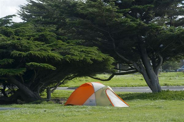 Half Moon Bay State Beach (SB) (8/5/2024 - Credits: Photo Courtesy of California State Parks 2024)