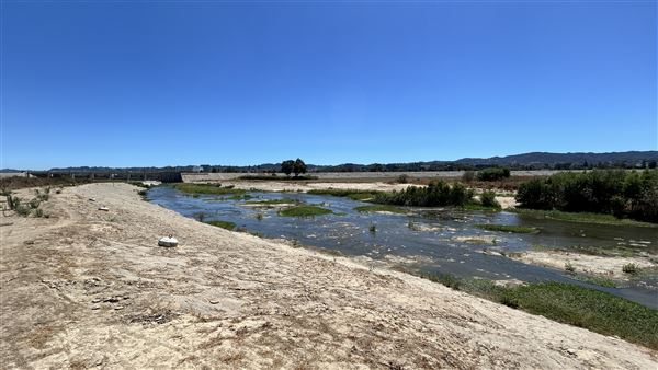 Sepulveda Dam (8/20/2024 - Credits: Brandy Davis)