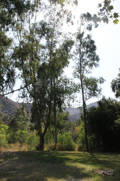 Ed Davis Park in Towsley Canyon - Santa Monica Mountains Conservancy - SMMC (8/20/2024 - Credits: Santa Monica Mountains Conservancy)