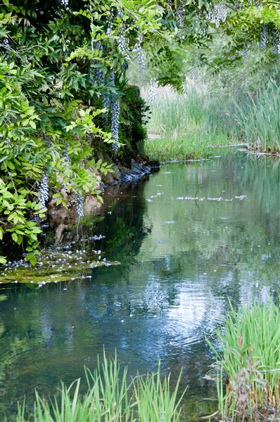 Vichy Springs Resort and Inn - Little Grizzley Creek in spring (5/8/2024 - Credits: Gilbert Ashoff)
