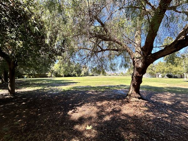 Shadow Ranch Park (8/29/2024 - Credits: Brandy Davis)