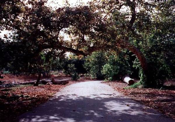 Irvine Regional Park (12/31/2003)