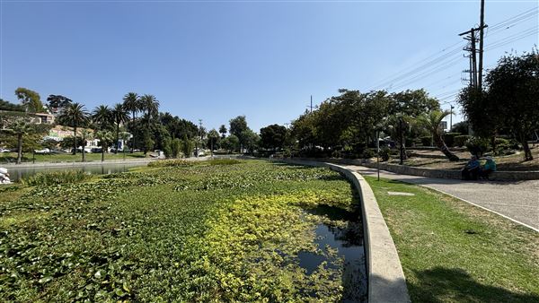 Echo Park Lake Recreation Center (9/17/2024 - Credits: Brandy Davis)