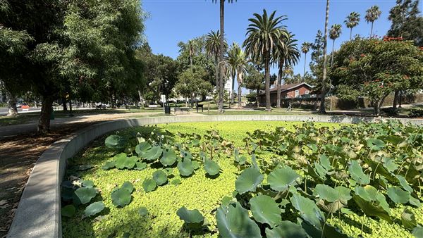 Echo Park Lake Recreation Center (9/17/2024 - Credits: Brandy Davis)