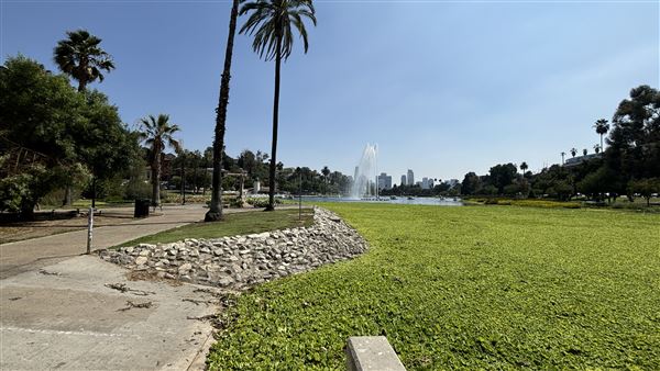 Echo Park Lake Recreation Center (9/17/2024 - Credits: Brandy Davis)