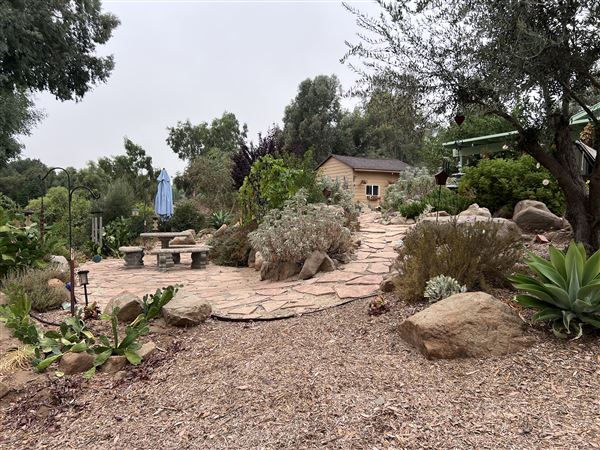 Swan Casa (9/27/2024 - Credits: Robin swan)