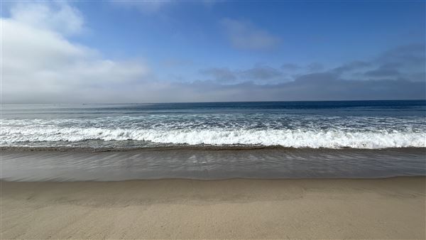 Santa Monica State Beach (SB) / Pacific Park Santa Monica Pier (10/2/2024 - Credits: Brandy Davis)