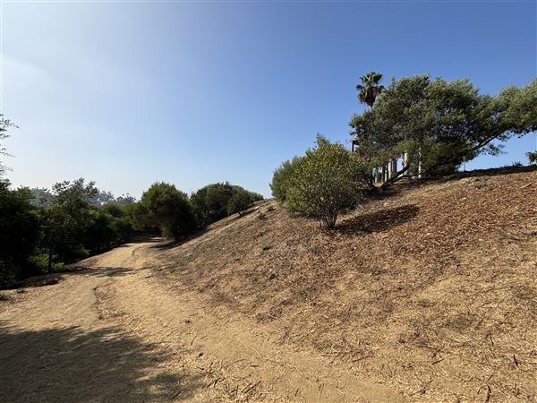Elysian Park - Angels Point (6/22/2024 - Credits: Brandy Davis)