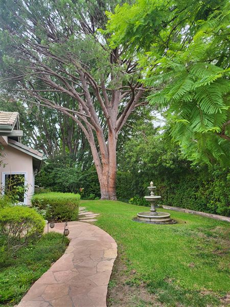 The Home of Neil and Robyn (10/16/2024 - Credits: Neil Siegel)