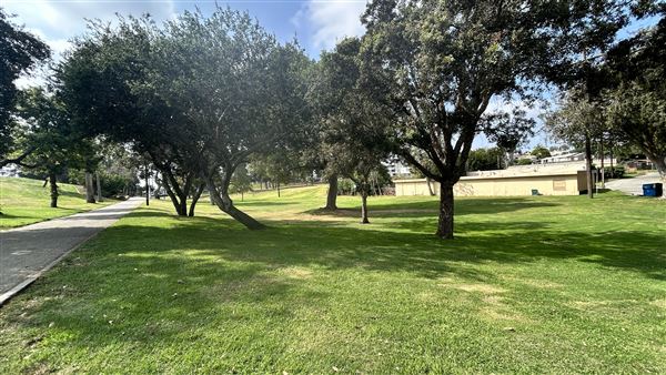 Edward Vincent Park - Paths and grass area (10/17/2024 - Credits: Brandy Davis)